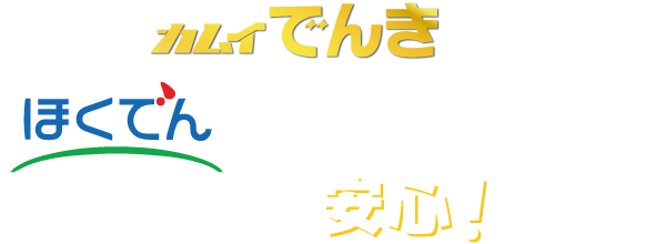 カムイでんきはほくでんコクリエが提供する電気だから安心